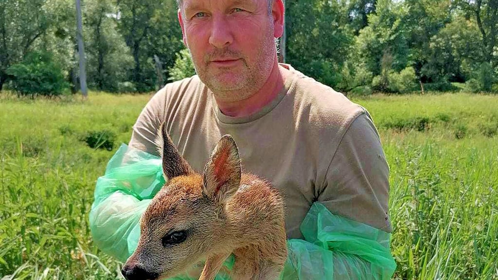 Stadtjäger Andreas Tietz demonstriert ein Tabu: Das Kitz niemals ohne Handschuhe berühren. Hat es Menschengeruch an sich, wird es vom Muttertier verstoßen.