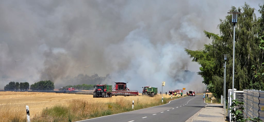 Durch die Mäharbeiten des Mähdreschers ist das Feuer zwischen Spickendorf und Petersdorf ausgebrochen.