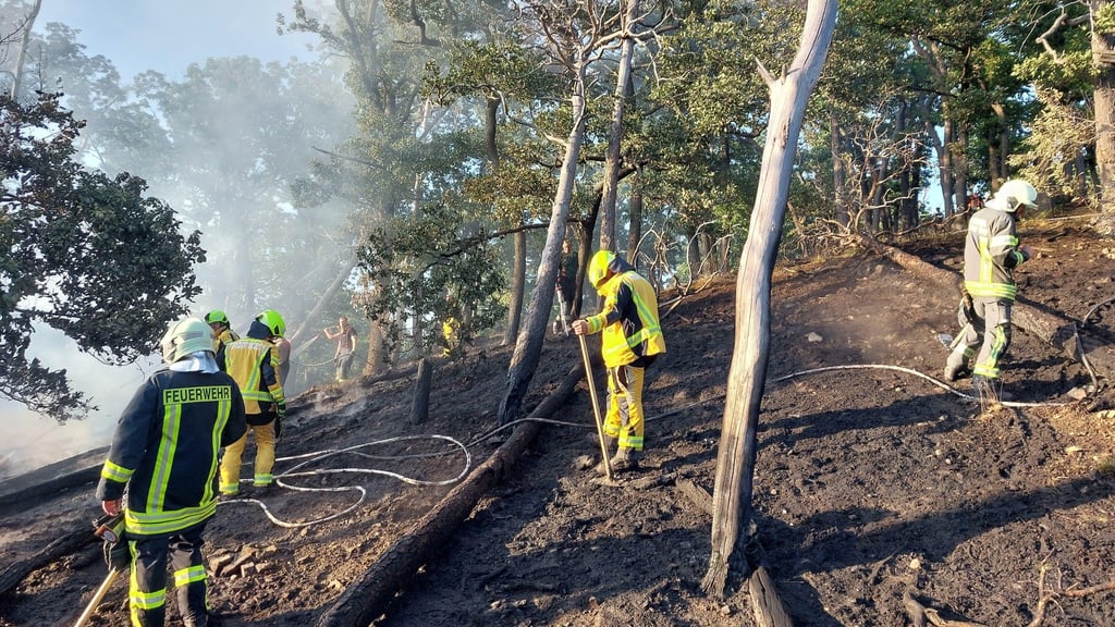 Gluthitze von unten und oben, dazu Qualm und schwer zugängliches Gelände: Der Einsatz von rund 200 Feuerwehrleuten gegen den Waldbrand oberhalb von Thale war extrem kräftezehrend.