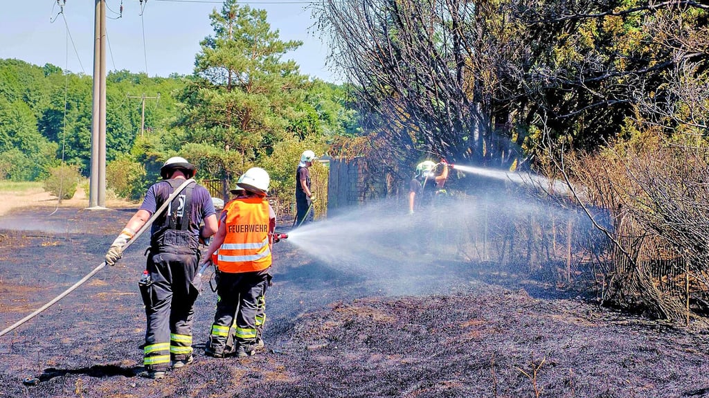 Die Feuerwehren löschen einen Feldbrand von 13 Hektar an der B 107 in Coswig.