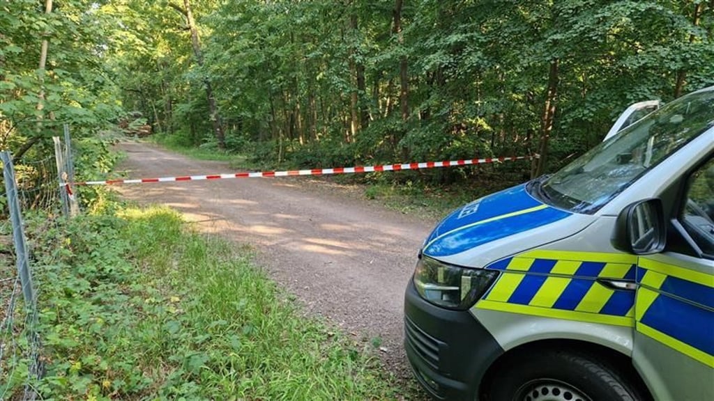 Halles Stadtwald: In der Dölauer Heide konnte am Mittwochnachmittag ein größerer Waldbrand verhindert werden.