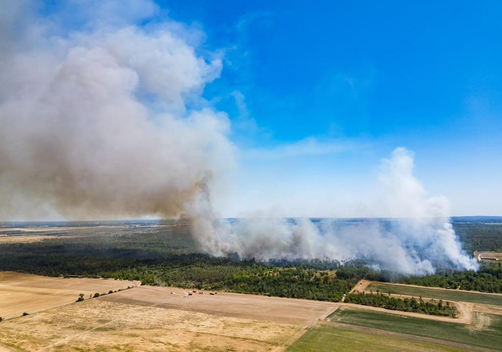 Der Waldbrand in der Gohrischheide hat sich ausgedehnt.