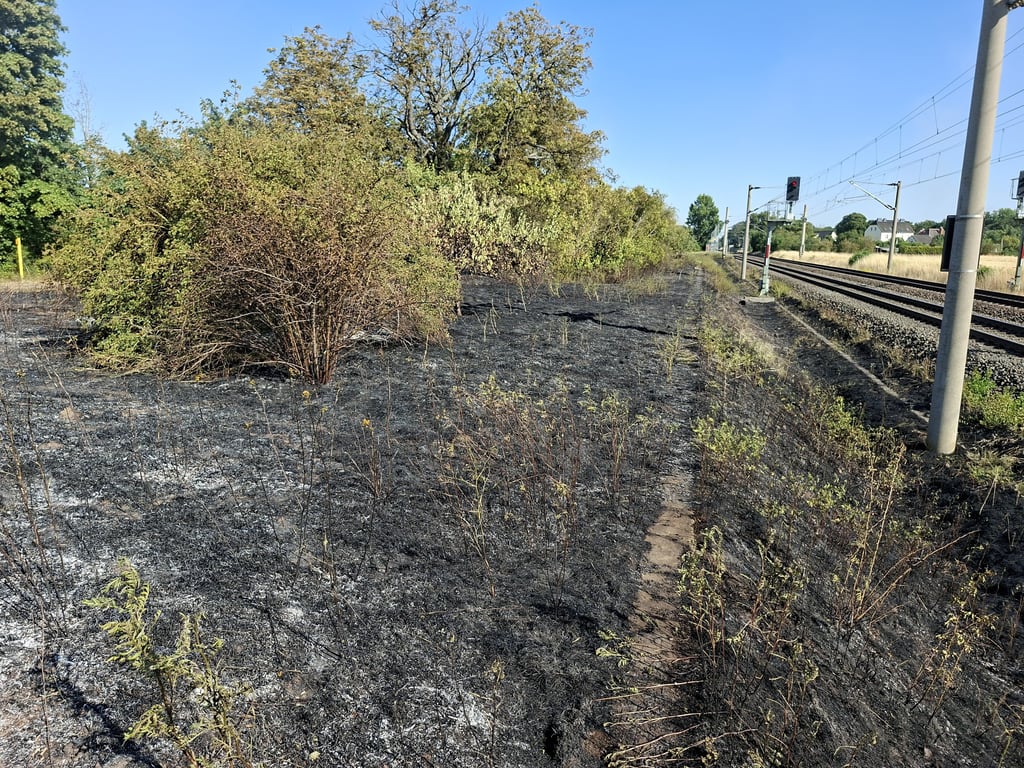 Direkt am Bahndamm hat es auch in Gnadau gebrannt.