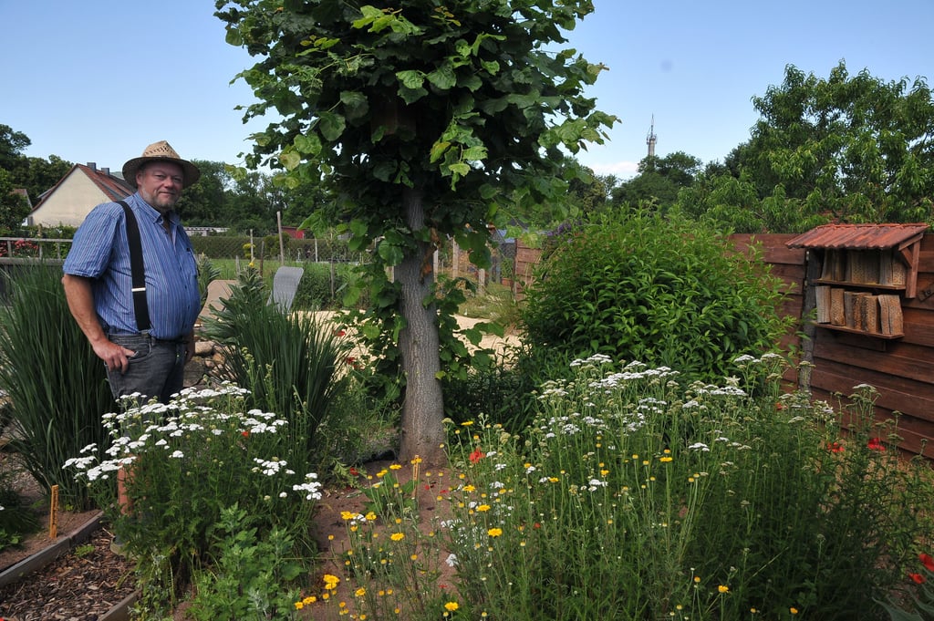 Jörg Galda hat in Tilleda ein kleines Gartenparadies geschaffen.