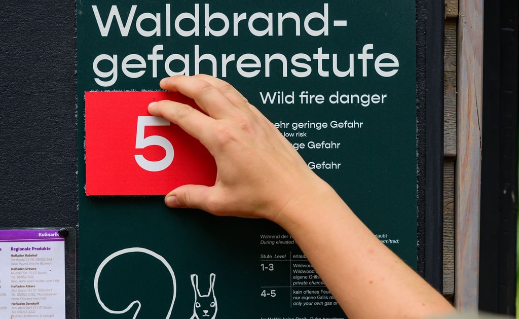 Weite Teile Sachsen-Anhalts sind aktuell sehr stark waldbrandgefährdet. (Archivfoto)
