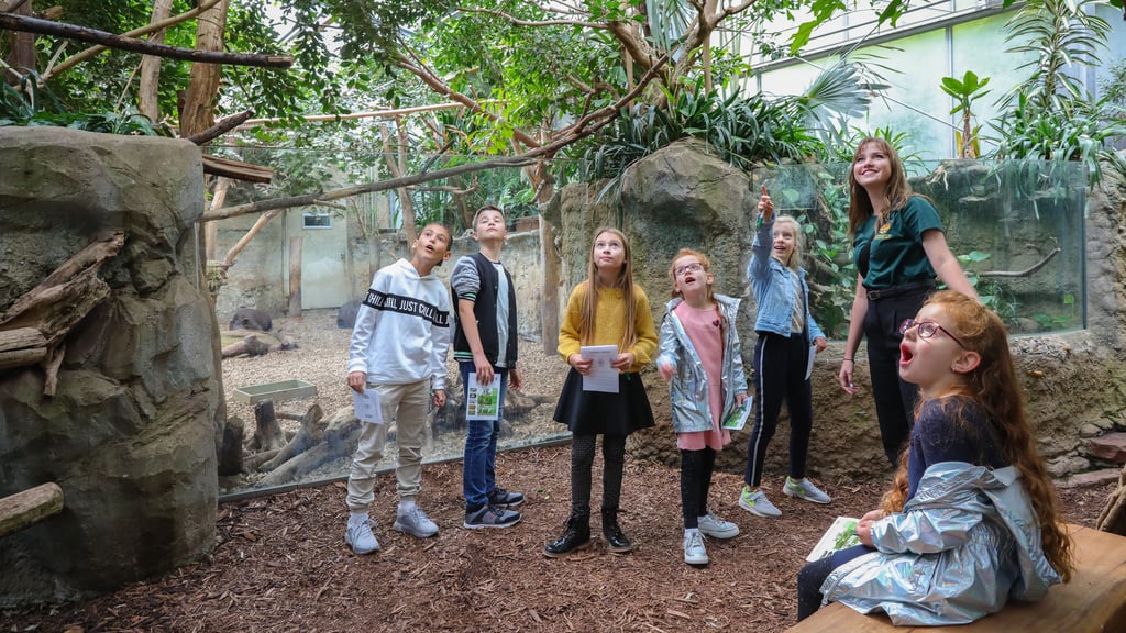 In den Ferien warten besondere Programmangebote auf die jüngsten Besucher des Zoos in Magdeburg.