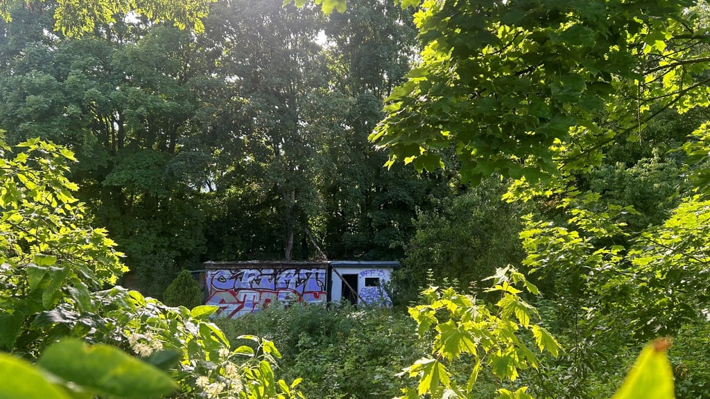 Früher war das Gelände in Magdeburg-Sudenburg eine Kleingartenanlage. In Zukunft sollen dort Häuser stehen.