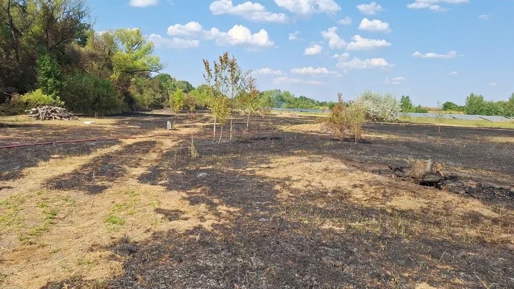 Rund 15 bis 20 Hektar Wald- und Ödland brannten am Nachmittag des 2. Juli in Zangenberg.