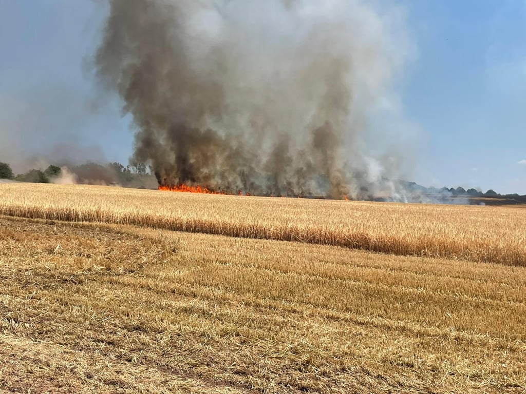 Das brennende Feld bei Sittendorf.