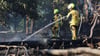 Die Feuerwehr kämpft gegen die noch lodernden Flammen und Glutnester im betroffenen Waldgebiet. (Archivbild)
