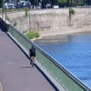 Die Elbuferpromenade in Magdeburg ist laut Stadt nicht mehr sicher.