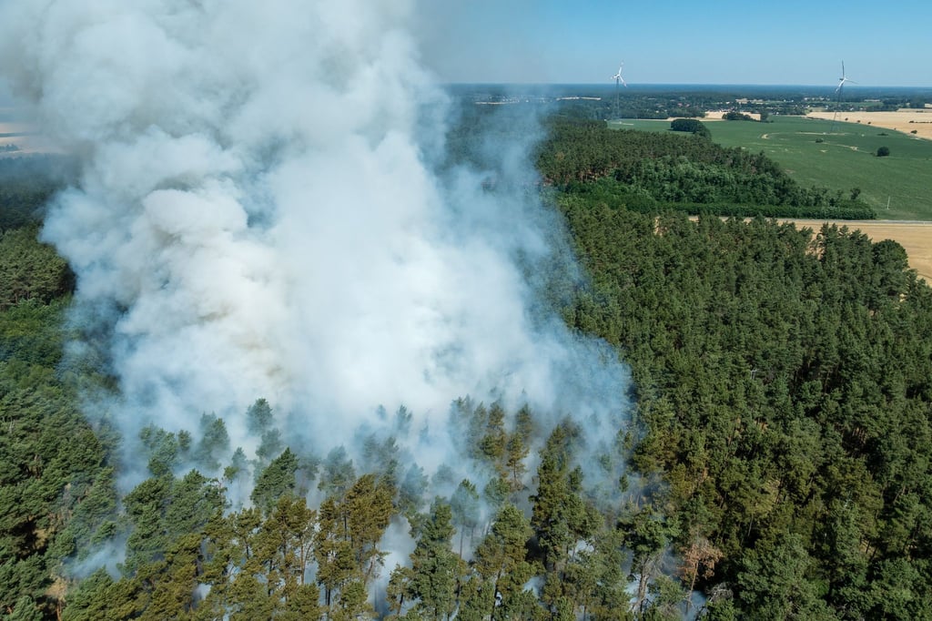 Rauch steigt seit dem Morgen über einem Waldstück auf.