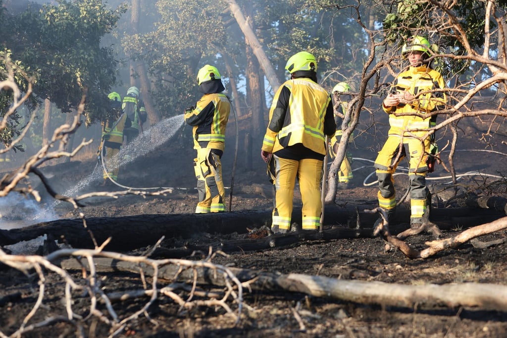 Waldbrand im Harz: Rund 150 Einsatzkräfte waren zwischenzeitlich vor Ort.