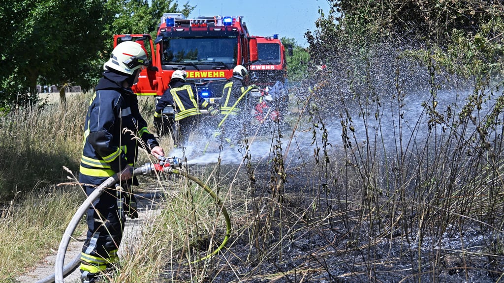 Gegen 11.30 Uhr rückte die Feuerwehr Aschersleben zu einem Vegetationsbrand in die Hecklinger Straße aus.