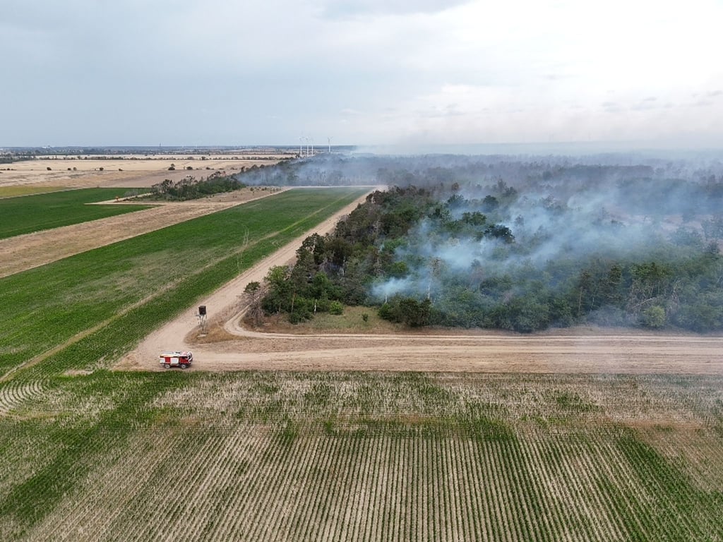 Wegen des Waldbrands in der Gohrischheide wurde Katastrophenalarm ausgelöst.