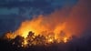 In Quedlinburg brennt laut der Feuerwehr ein knapp 700 Quadratmeter großes Waldstück.