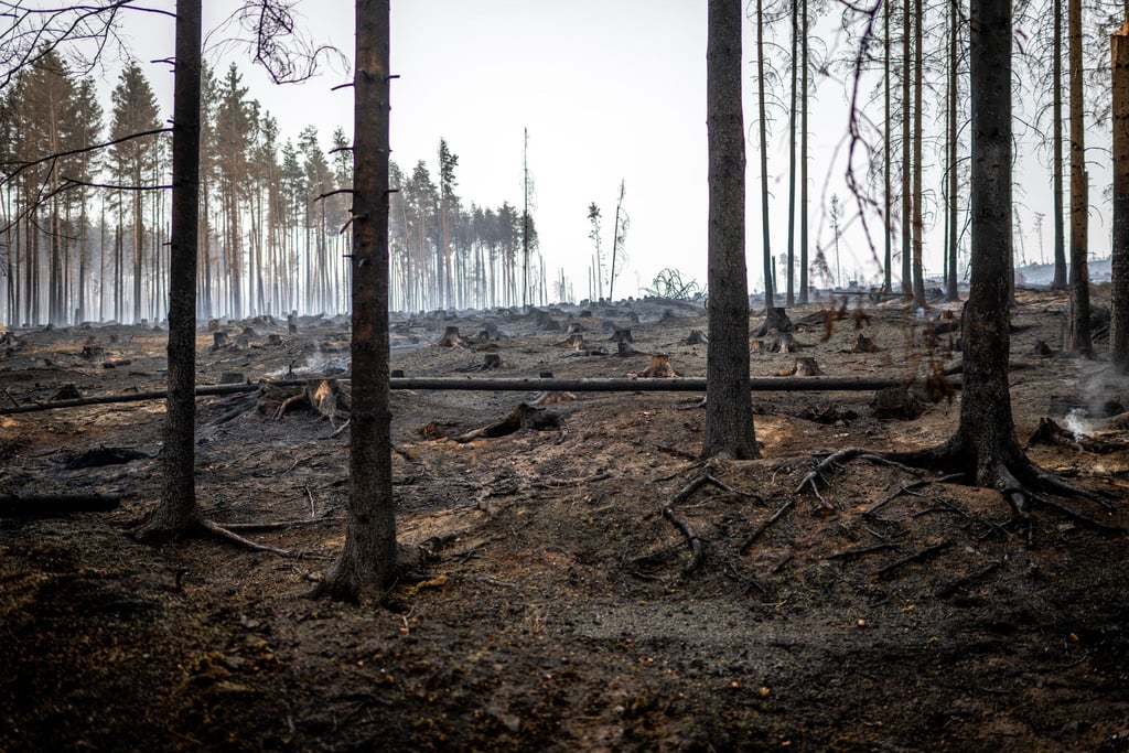 Der Waldbrand bei Saalfeld ist noch nicht unter Kontrolle.