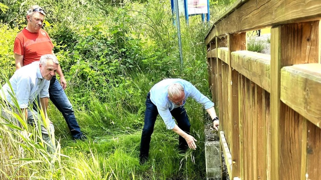 Die Oberbürgermeister von Bitterfeld-Wolfen und Delitzsch hatten sich vor Ort über den Brückenzustand informiert.