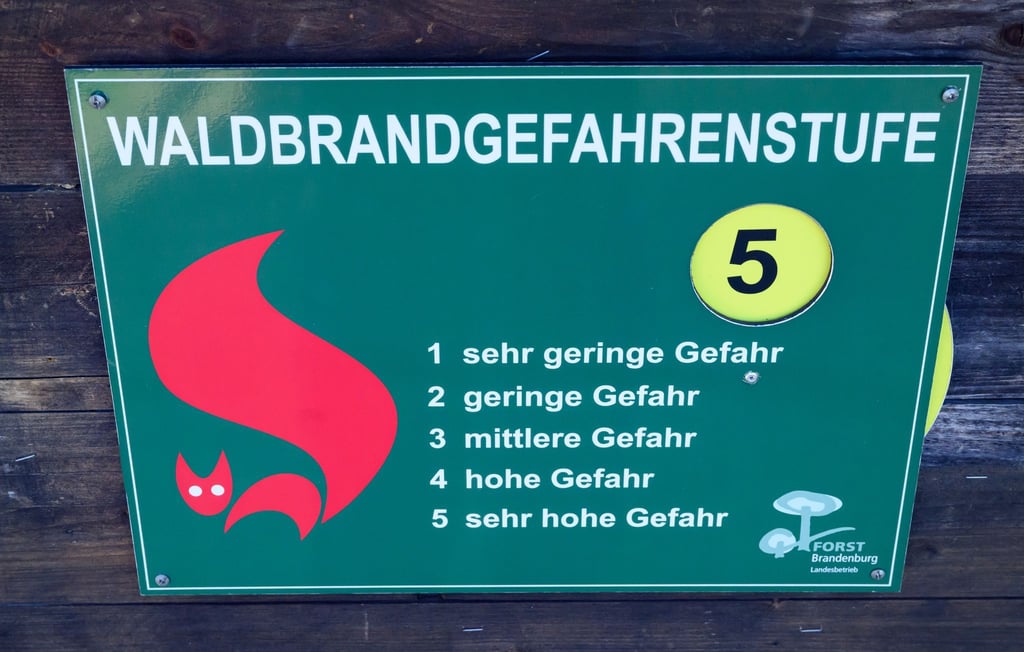 In Brandenburg ist die Waldbrandgefahr über Nacht gesunken. (Archivbild)