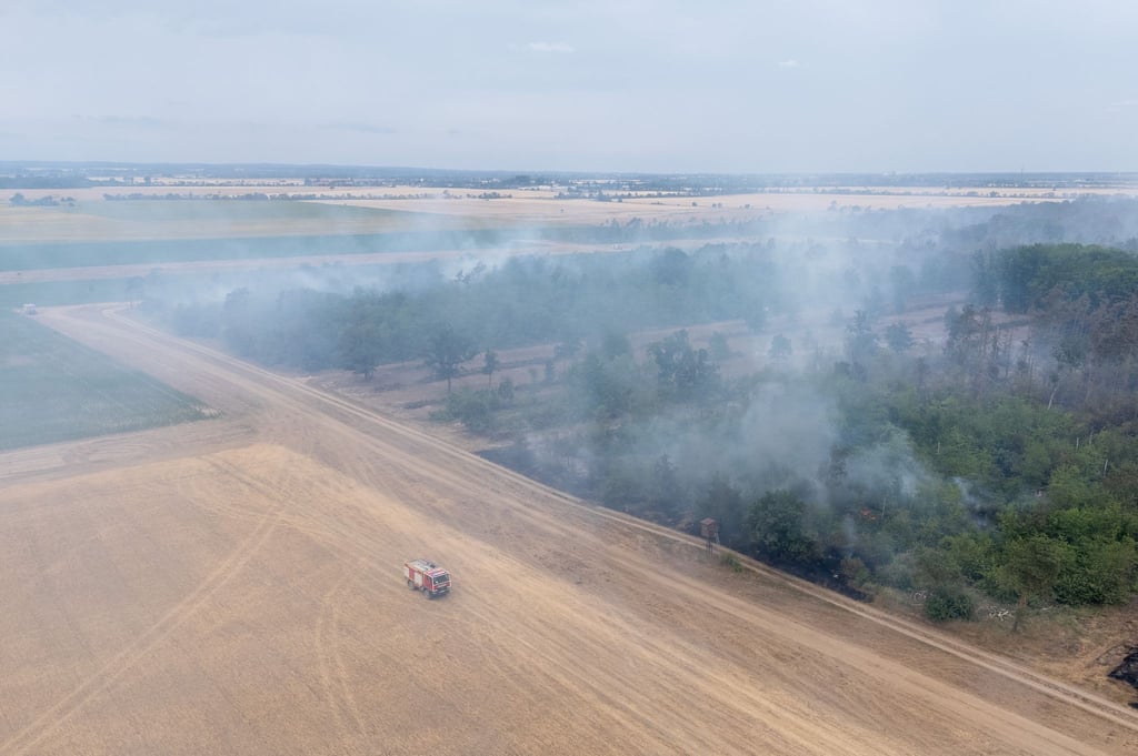 Mehr als 500 Einsatzkräfte sind wegen des Waldbrands im Einsatz.