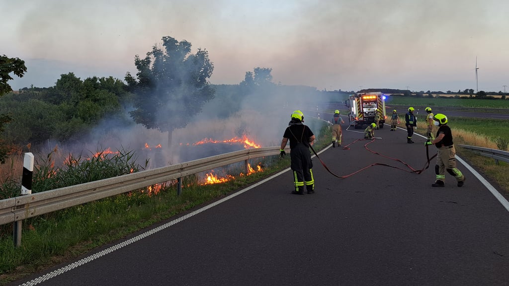 Böschung an der B 189, Abfahrt Jersleben, brennt
