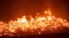 Mindestens 250 Hektar Wald sind am Mittwoch auf der Saalfelder Höhe in Brand geraten.