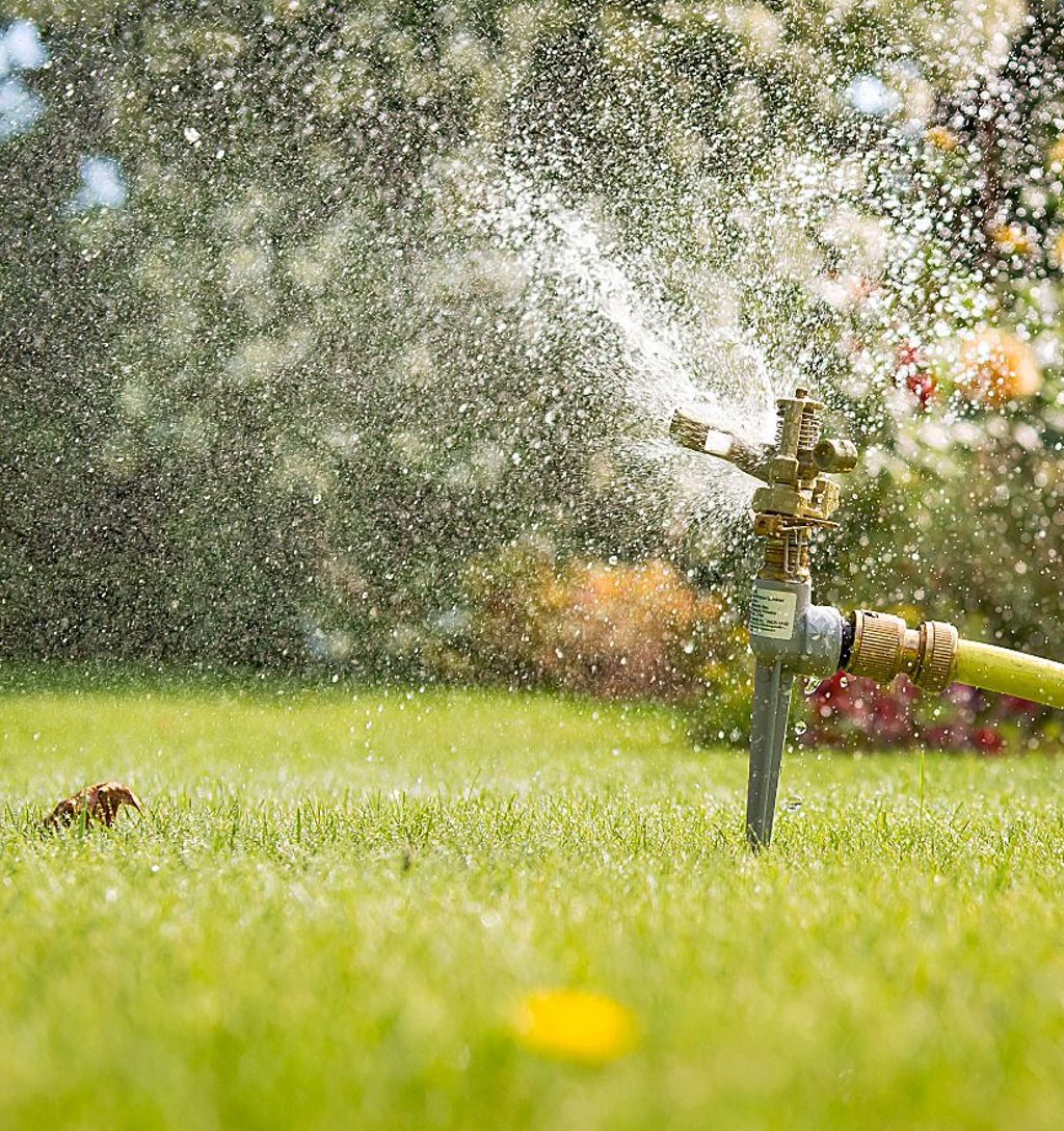 Grünflächen dürfen zwischen 10 und 18 Uhr nicht beregnet werden.