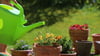 Sonnig und warm: Wer im Sommer falsch gießt, verschwendet Wasser und stresst seine Pflanzen.