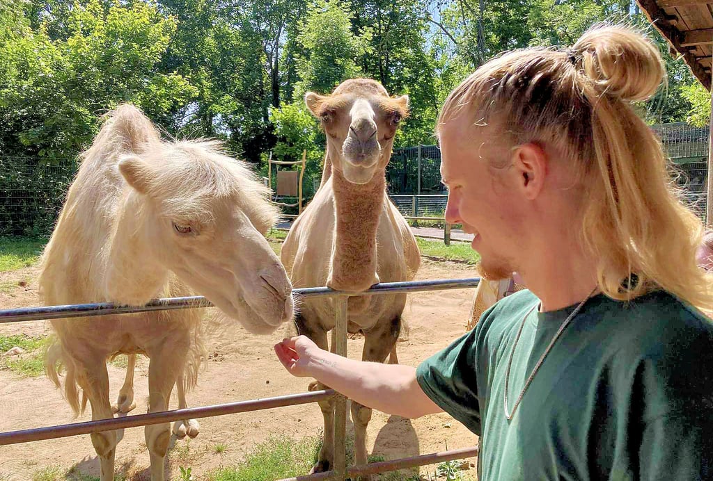 Tierpfleger Ben Eibach nimmt die Paten zum Füttern der Trampeltiere mit.