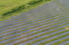 70 bis 100 Hektar PV-Anlagen wollen das Agrarunternehmen und ein Partner pro Gemeinde errichten.