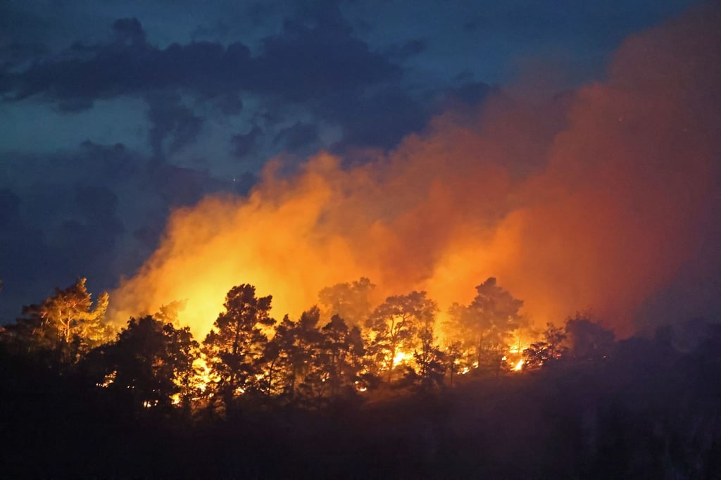 Flammen am Felsen Lehof verschlingen ein großes Waldgebiet.