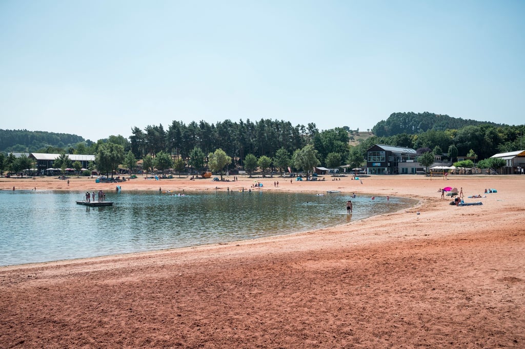 Erneut greift ein Wels einen Schwimmer in der Region an. (Symbolbild)