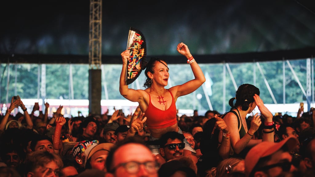 Auch der Sommer 2025 wird durch zahlreiche Festivals wie „Rocken am Brocken“ oder dem „Splash!“ unvergesslich werden.