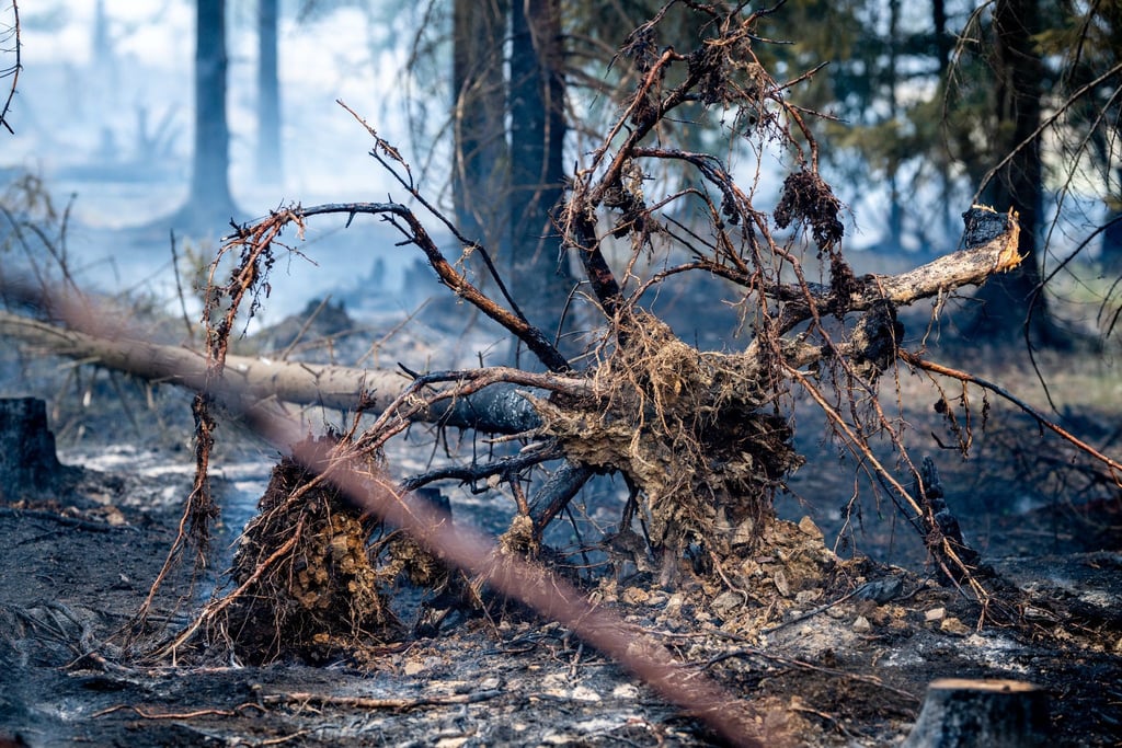 Wegen des Großbrands auf der Saalfelder Höhe wurde auch Katastrophenalarm ausgelöst.