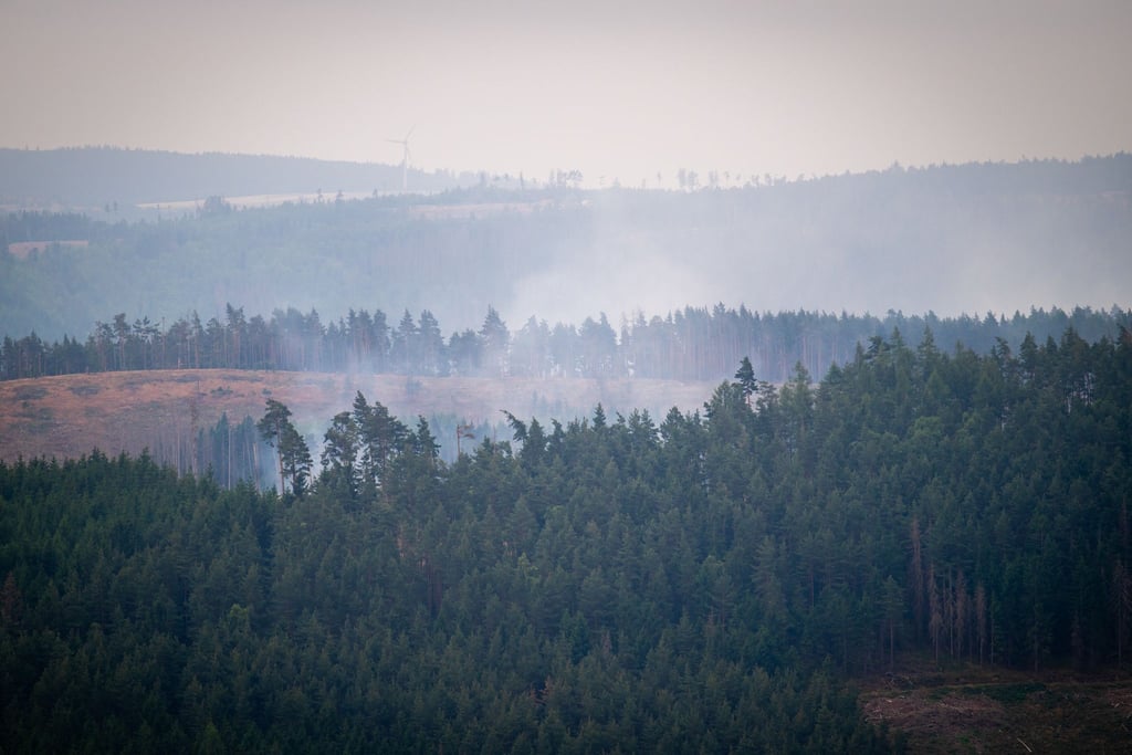 Mindestens 250 Hektar Wald sind von dem Brand betroffen.