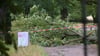 So sah es am 27. Juni im Neuen Garten in Potsdam aus. (Archivbild)