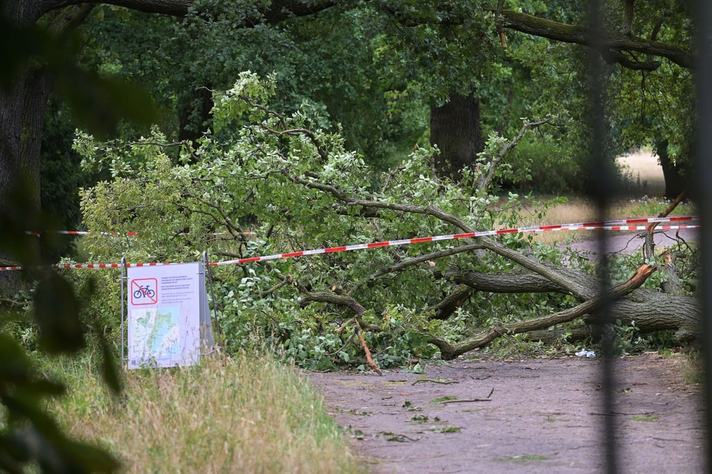 So sah es am 27. Juni im Neuen Garten in Potsdam aus. (Archivbild)