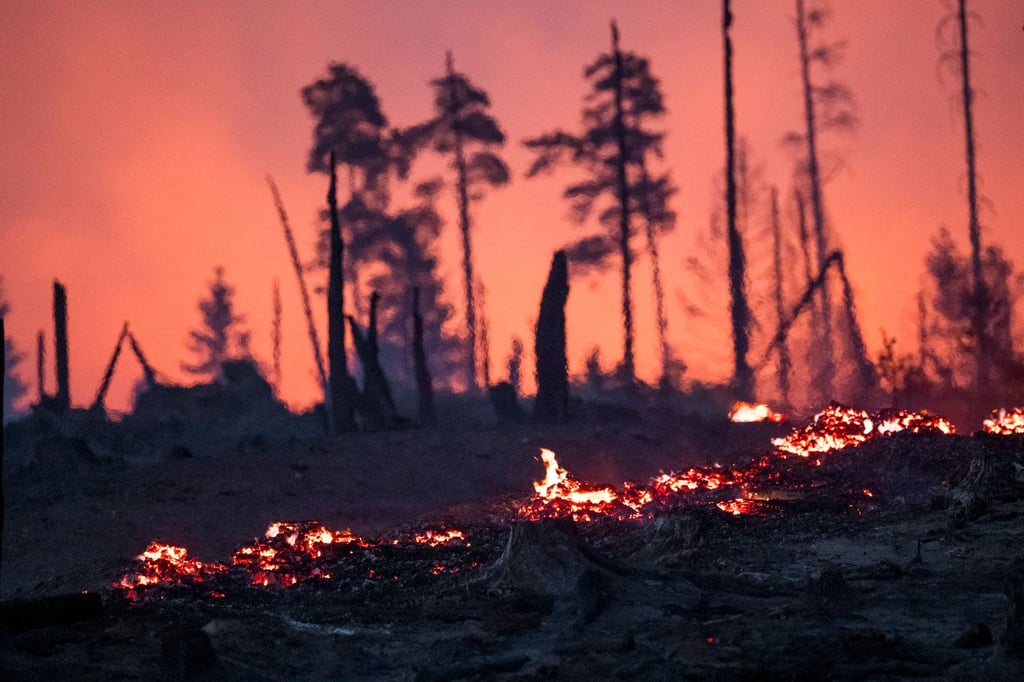 In der Nacht auf Donnerstag brannte das Waldstück in der Saalfelder Höhe weiterhin.