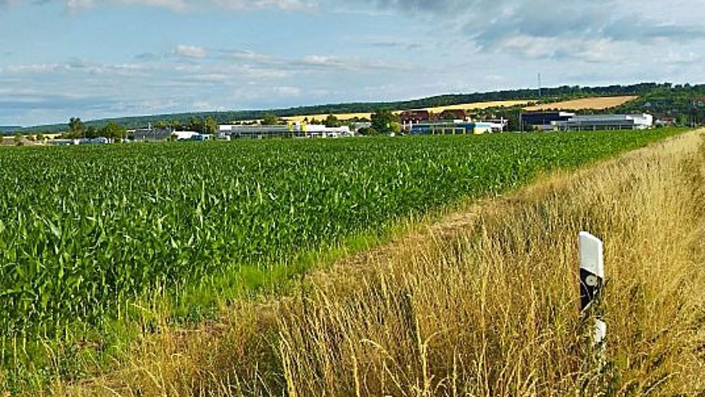 Aktuell wächst Mais im neuen Industriegebiet.