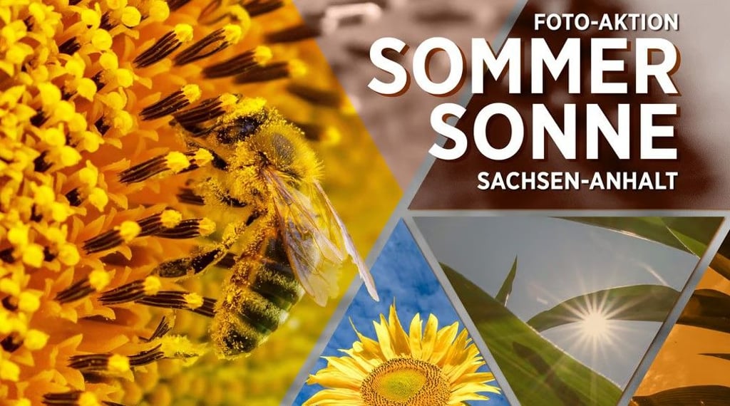 Mit diesem Logo wirbt die MZ für ihre Sommer-Fotoaktion.