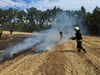 Bei Theeßen ist es am Donnerstag, 3. Juli 2025, zu zwei Ackerbränden gekommen. Jeweils sechs Feuerwehren waren im Einsatz.