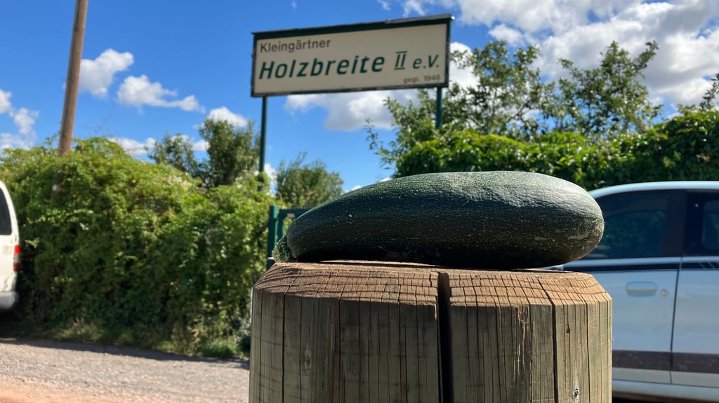Eine Zucchini, die ein Hobbygärtner wohl übrig hatte, liegt zum Mitnehmen vor einem Eingang zum Kleingartenverein Holzbreite 2. Dieser und weitere Vereine sind ausgetreten aus dem Regionalverband der Gartenfreunde Quedlinburg.