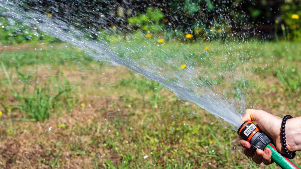 Der Sommer kommt und bringt hohe Temperaturen mit. In einigen Orten in Sachsen-Anhalt ist jetzt das Wässern verboten.