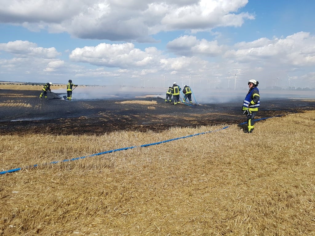 Die Feuerwehr löscht den Brand auf einem Feld.