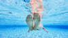 Das Freibad einer Schweizer Gemeinde ist bis Ende August fast ausschließlichen den Einheimischen vorbehalten. (Illustration)