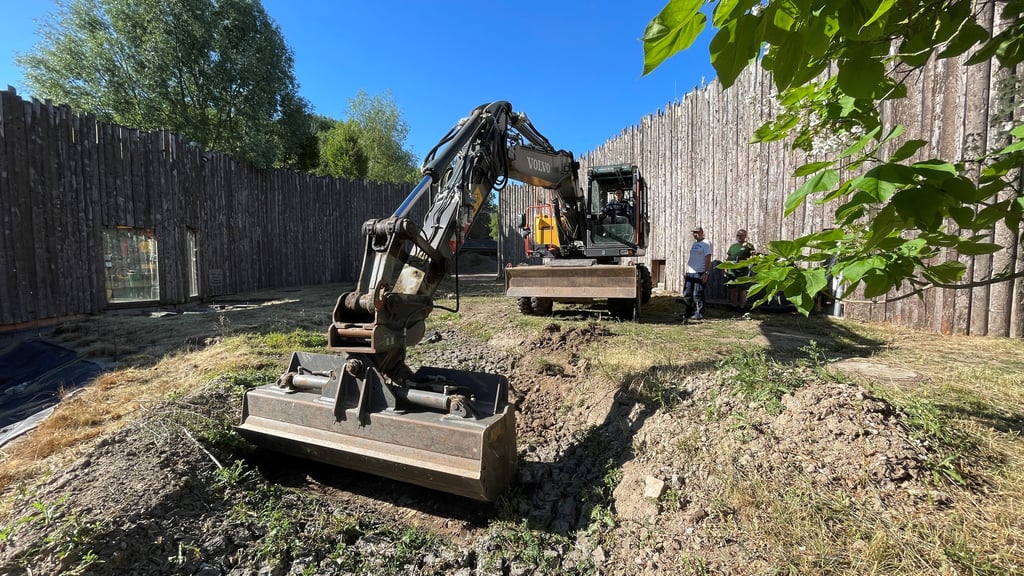 Gleich am ersten Arbeitstag nutzte David Pruß, neuer Direktor im Zoo Magdeburg, einen Bagger zum Baustart für die neue Außenanlage der Schimpansen.