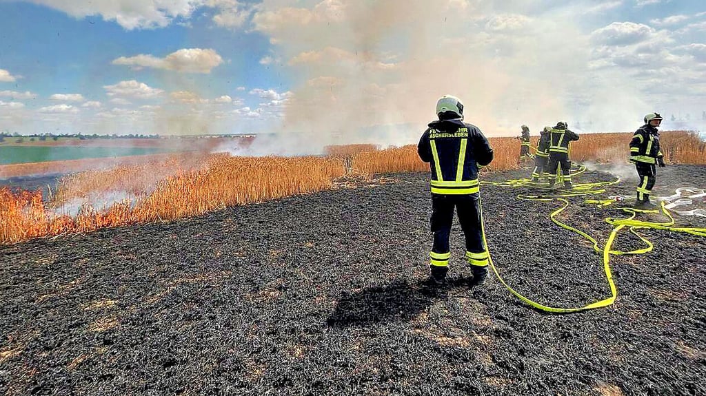 Vier Ortswehren löschten einen Feldbrand am Freitagvormittag bei Klein Schierstedt.