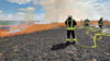 Vier Ortswehren löschten einen Feldbrand am Freitagvormittag bei Klein Schierstedt.