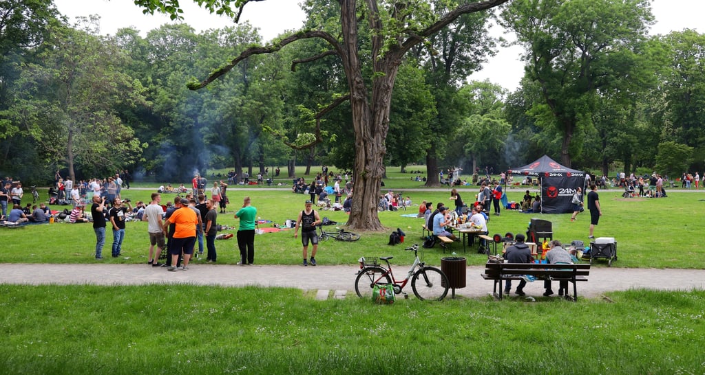 Magdeburg bietet einige Wiesen an, auf denen öffentlich gegrillt werden darf. Eine davon befindet sich im Nordpark.