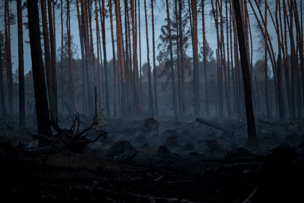 Seit Mittwoch sind Feuerwehren und andere Einsatzkräfte auf der Saalfelder Höhe ununterbrochen im Einsatz.